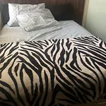 Casa Perto Praia Recreio